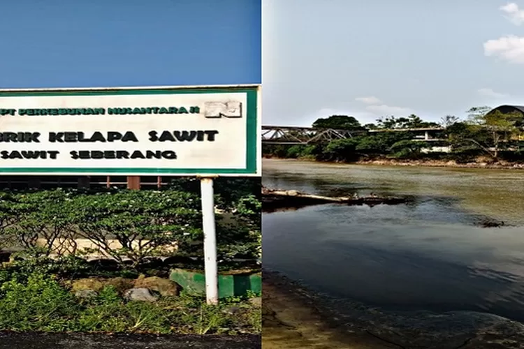 Terlihat limbah PKS Milik PTPN II Sawit Seberang mengalir ke Sungai  (Realitasonline/MA)