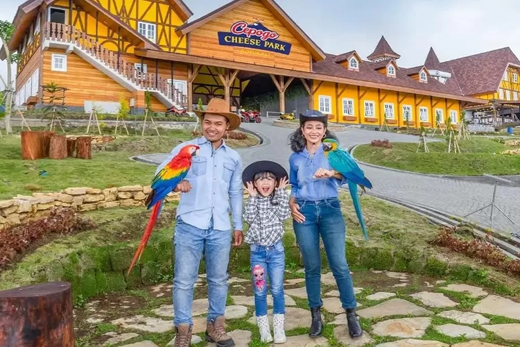Cepogo Cheese Park, salah satu tempat wisata baru dan viral di Boyolali ( instagram @cepogo.cheesepark.boyolali)