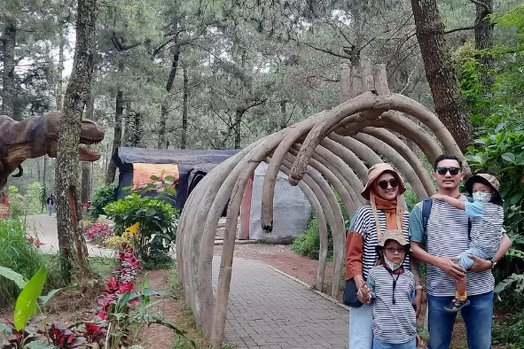 Mojosemi Forest Park Magetan  