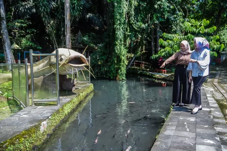 Pengunjung saat berad di Taman Lele Semarang. Taman Lele Semarang jadi salah satu tempat wisata Semarang yang mengalami perubahan tiket pada libur lebaran 2023.  (Ayosemarang.com/ Audrian Firhannusa)