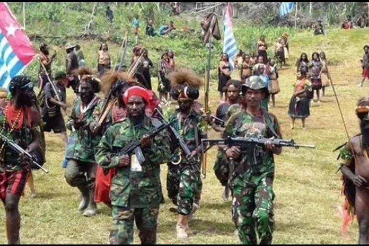 Ilustrasi KKB lawan TNI di Papua  (Ist)