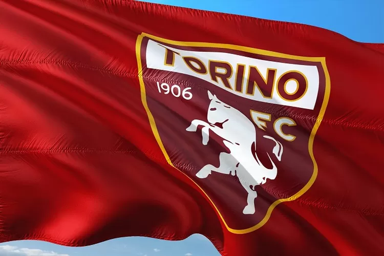 Torino vs Salernitana Serie A Italia 2022 2023 Dengan Head to Head dan Performa Tim (Gambar oleh jorono dari Pixabay)