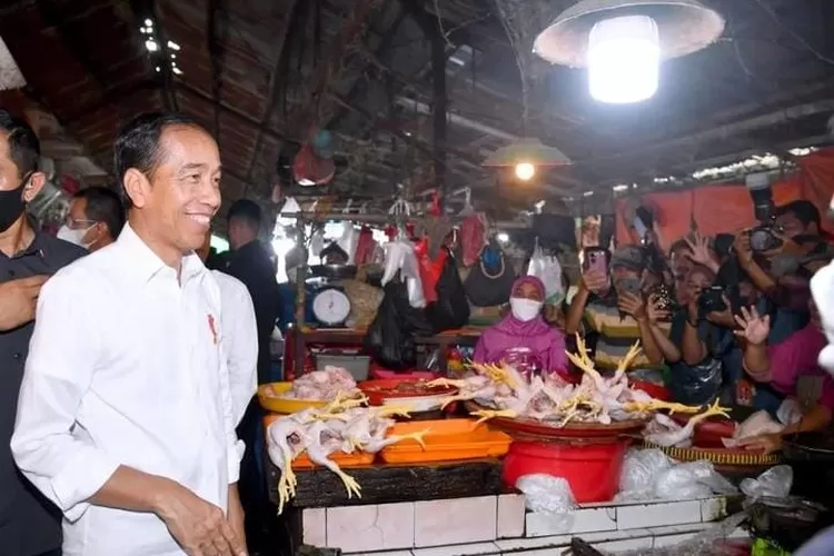 Perkembangan Bansos BPNT, PKH, Telur dan Ayam, Cek Nama Penerima Lewat Ponsel