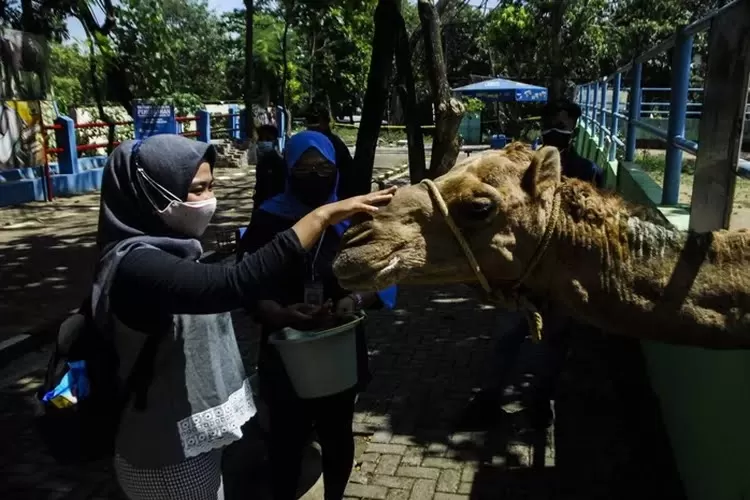 Pengunjung di Semarang Zoo saat berinteraksi dengan satwa. (Ayosemarang.com/Audrian Firhannusa)