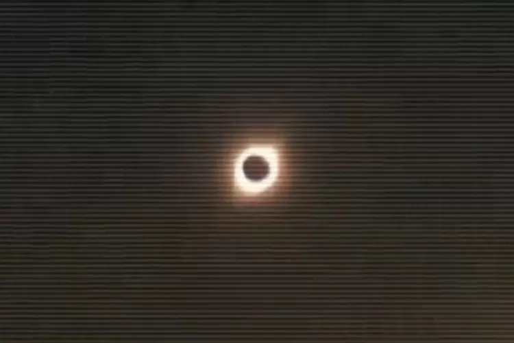 Gerhana matahari (Tiktok @saucetartar_)