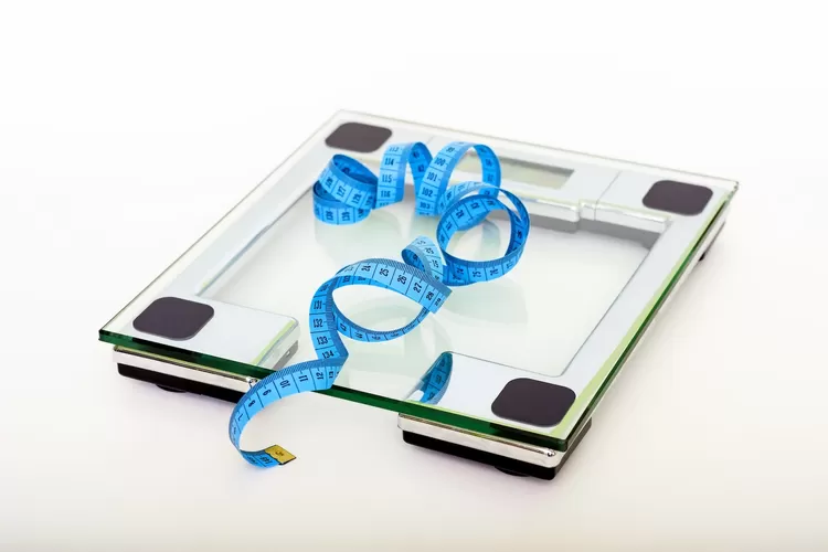 Tips berat badan ideal saat lebaran (Pexels Pixabay)