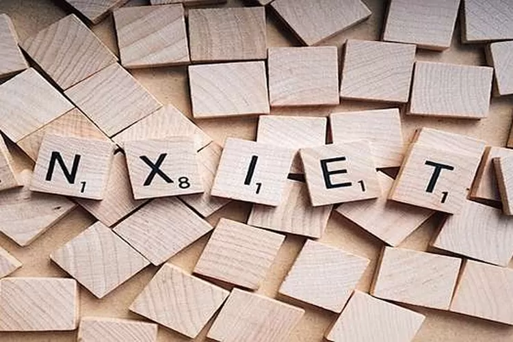 Anxiety adalah salah satu gangguan mental dimana mengalami kecemasan berlebihan (WOKANDAPIX via Pixabay)