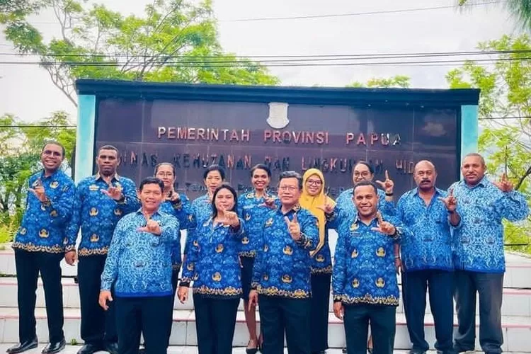 Kepala BKN Butuh Tenaga ASN Darurat 2023 di Provinsi Ini, Orang Papua Asli Boleh Daftar