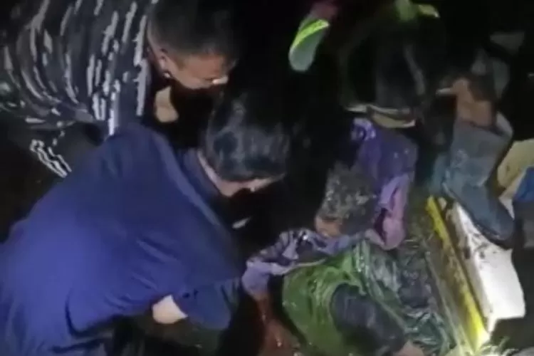 Prajurit TNI AL Selamatkan Warga dari Serangan Buaya  (Dispenal)