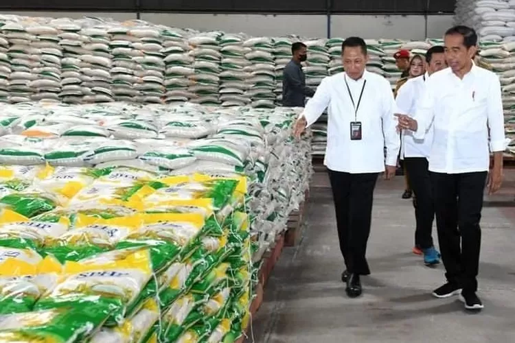 Alasan Kenapa Pemerintah Impor Beras 2 Juta Ton untuk Bansos Pangan