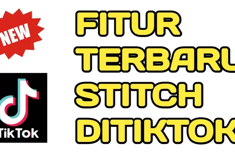Cara Stitch Vidio Tiktok ( YT ; J4AF4 CH4NN3L)