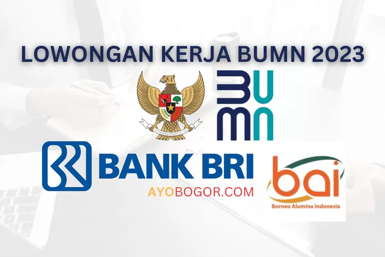 3 Lowongan Kerja BUMN Terbaru Mei 2023 Mulai dari Bank BRI hingga PT Borneo Alumina Indonesia (AYOBOGOR.COM )