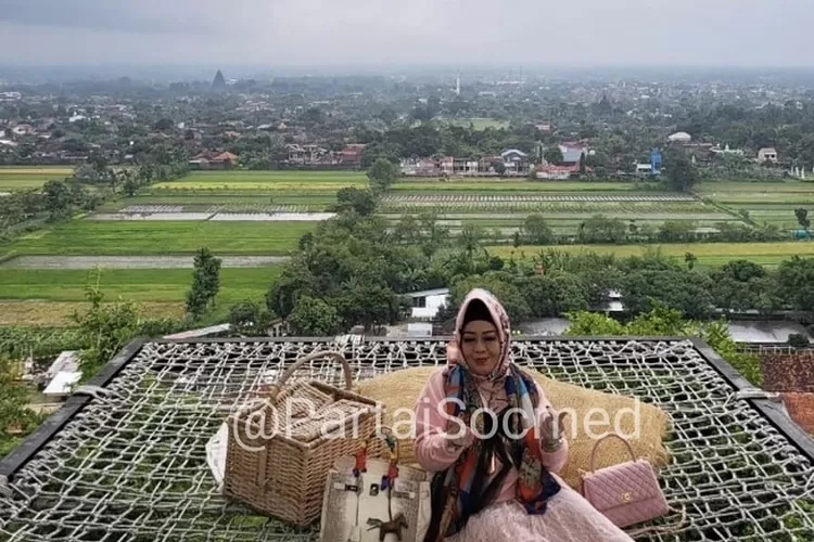 Kadinkes Lampung, Reihana (Twitter @PartaiSocmed)