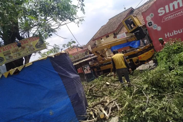 Pemangkasan pohon rindang oleh petugas Dinas Lingkungan Hidup dan Kebersihan (DLHK) Kota Depok di RT2/1 Kelurahan Harjamukti