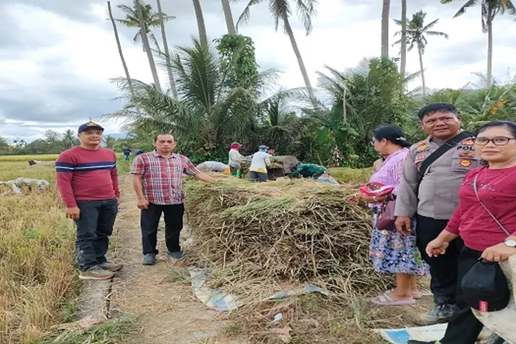 Kadistan SEY Pasaribu Turun Melihat Kerusakan Lahan Pertanian Masyarakat.  (Realitasonline.id/Alpon Situmorang)