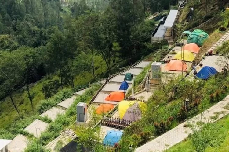 Area Camping The Nature Bromo Pasuruan. (@thenaturebromo)