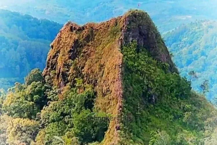 Gunung Kukusan merupakan batu padas ditumbuhi rumput masuk deretan gunung di kawasan Wilis. (Fot: SW)