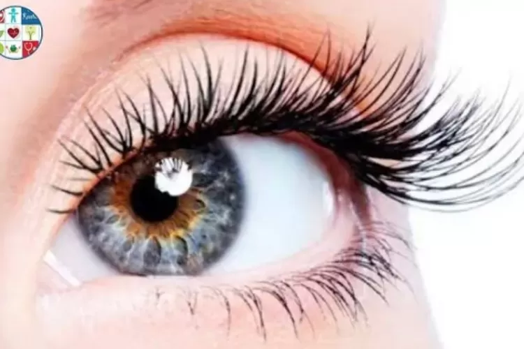Pakai Bulu Mata Palsu Terus? Mending Lakukan Cara Mudah dan Alami Untuk Melentikan Bulu Matamu Berikut Ini (Foto: YouTube @BeautyBestie_)