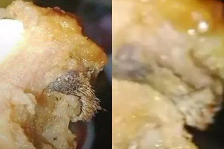 Siomay Daging Tikus. Foto Istimewa