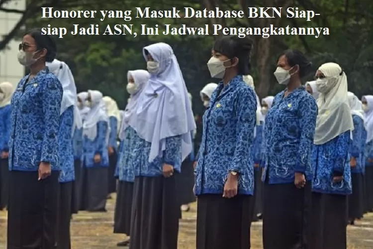 Honorer yang Masuk Database BKN Siap-siap Jadi ASN, Ini Jadwal Pengangkatannya (Republika)