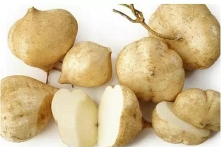 Manfaat Konsumsi Bengkoang Bagi Kesehatan, Bisa Turunkan Tekanan Darah Hingga Mencegah Kanker