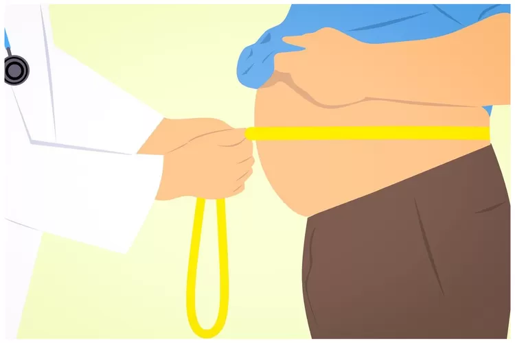 Ilustrasi perut buncit / pixabay.com (JAKARTA INSIDER )