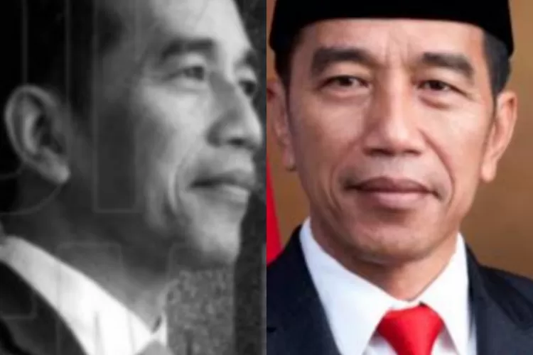 Jokowi (Ist)