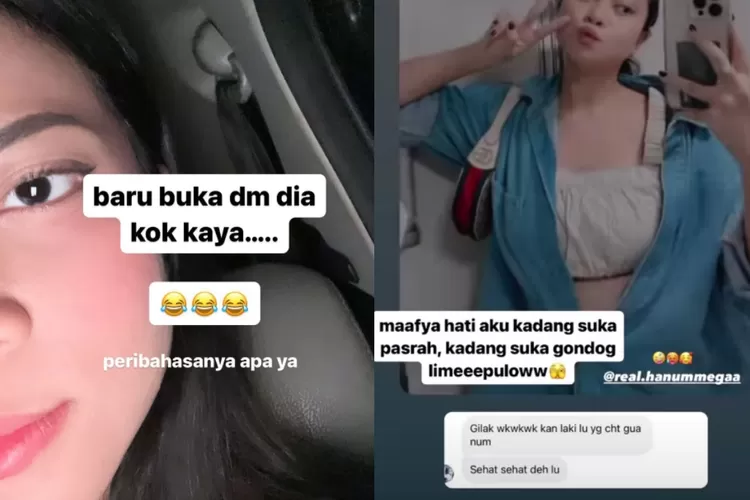 Kolase potret insta story Hanum Mega dengan penggalan chat sang mantan pacar suami (Instagram @real.hanummegaa)