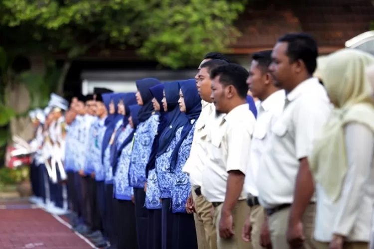 Makin Banyak Peminat Ini Besaran Gaji Pppk Bisa Kalahkan Rata Rata