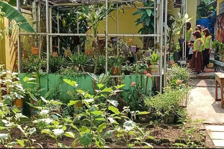 Siswa siswi SDN Karanggeneng 02, Kecamatan Kandeman Kabupaten Batang saat kegiatan bersama merawat tanaman apotik hidup.