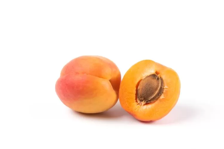 Ilustrasi buah persik (sumber: freepik)