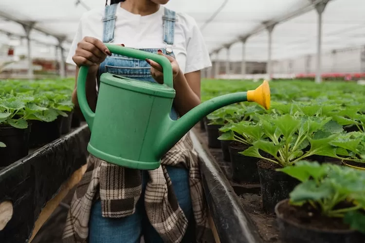 Boyolali Berbakti Berikut Adalah Peluang Bisnis Rumahan Di Boyolali