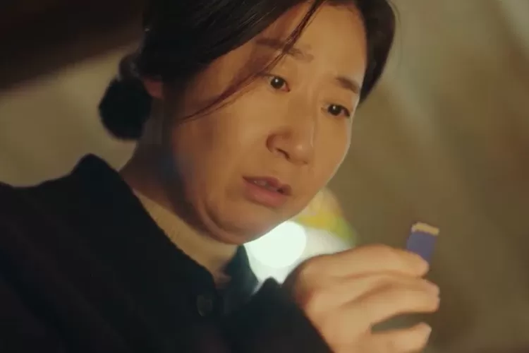 The Good Bad Mother episode 9 (Netflix)