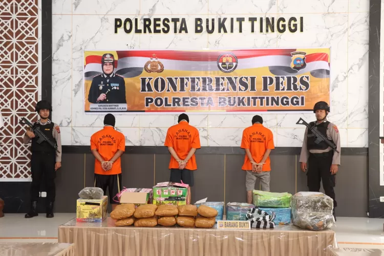 Sebanyak 17,4 kilogram narkoba jenis ganja berhasil diamankan Polresta Bukittinggi saat hendak dikirim melalui jasa ekspedisi (Istimewa)
