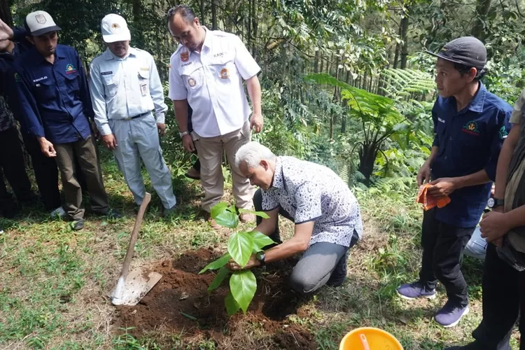Gubernur Jawa Tengah Ganjar Pranowo saat menanam pohon di Objek Wisata Sikembang, Kecamatan Blado, Kabupaten Batang, 23 Mei 2023.  (Muslihun)