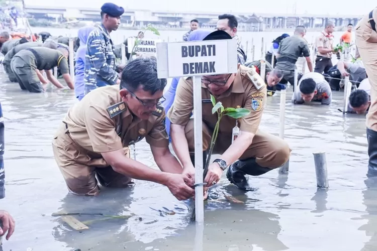 Wabup Demak turut tanam mangrove di Desa Sidogemah, Kecamatan Sayung, Demak (ivo)
