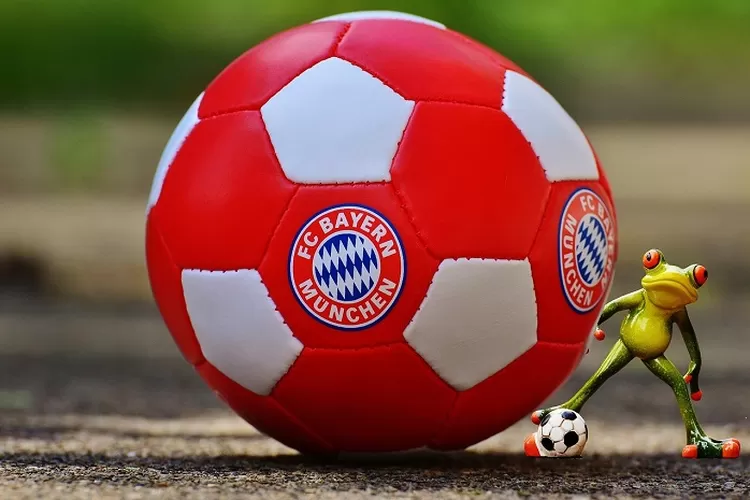Illustrasi Koln vs Bayern Munchen Bundesliga 2023, Munchen 5 Pertemuan Terakhir Belum Pernah Kalah (Gambar oleh Alexa dari Pixabay)