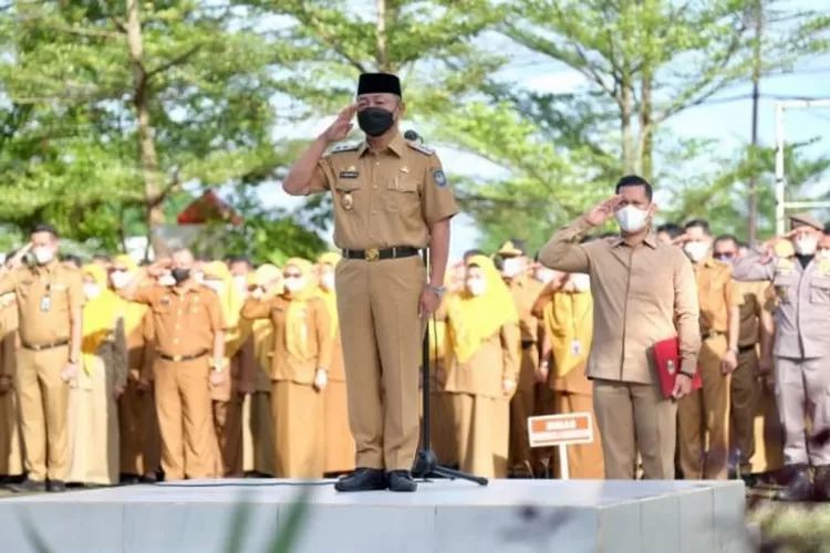 Ini Gaji Honorer Terbaru Yang Sudah Disahkan Sri Mulyani Dalam Pmk Nomor Tahun Lengkap