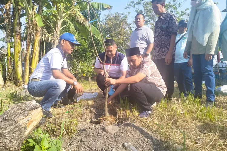 IDI Sidoarjo melakukan penanaman pohon buah. (Anas/Klikaktual.com)