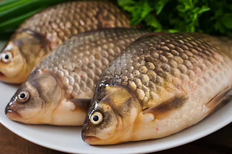 7 Manfaat Ikan Nila yang Lezat untuk Kesehatan Tubuh,bisa Mencegah Kanker/Freepik