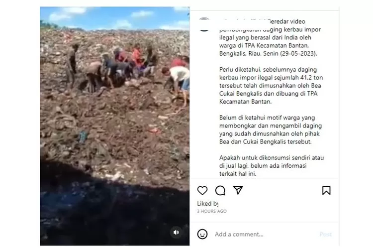 video yang perlihatkan warga Riau berebut daging buangan di TPA menjadi viral