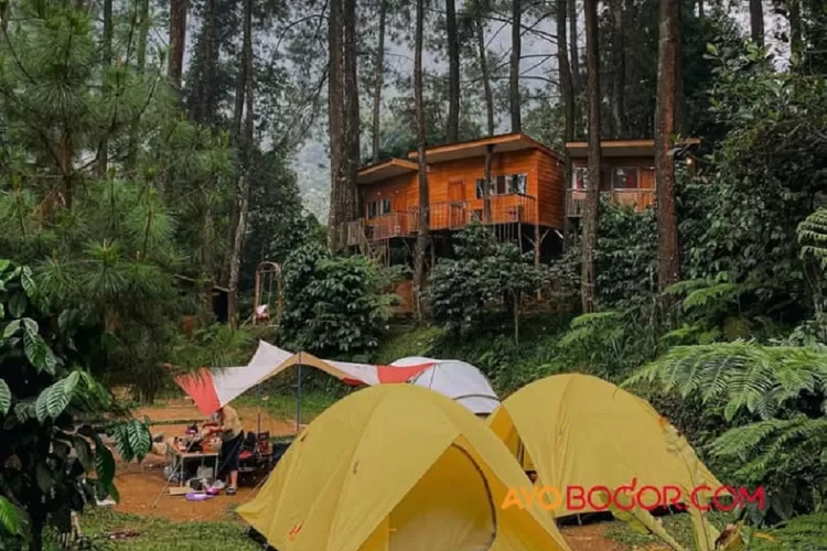 Cobain Nginap Hotel Glamping di Bogor