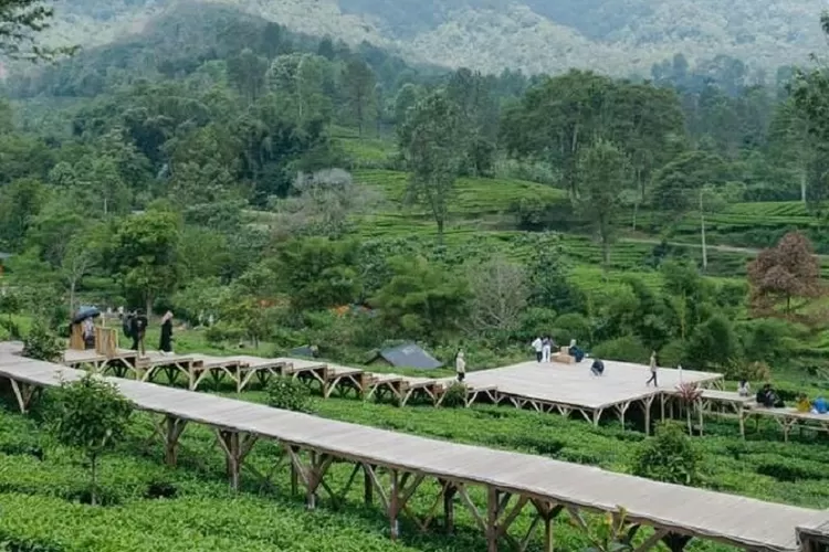 Rekomendasi Tempat Wisata Baru di Puncak Bogor Viral, HTM Rp10 Ribu