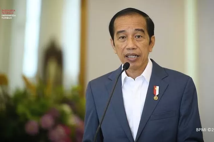 Arti kata cawe-cawe dari pernyataan Jokowi