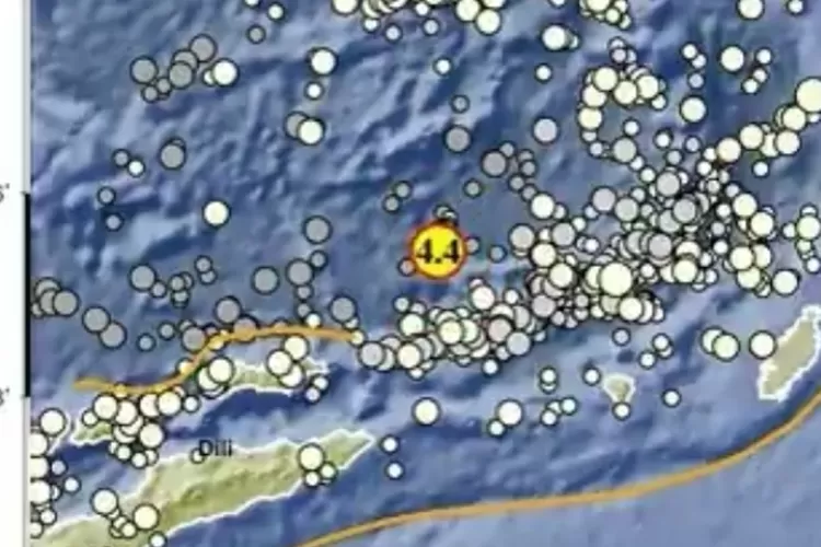Gempa megathrust mengguncang Maluku (Info BMKG)