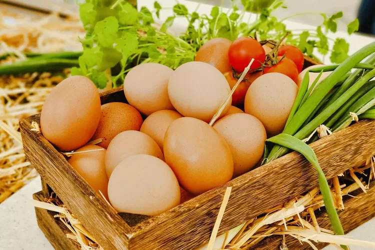 Ilustrasi kenaikan harga telur (Pixabay.com/kukule)