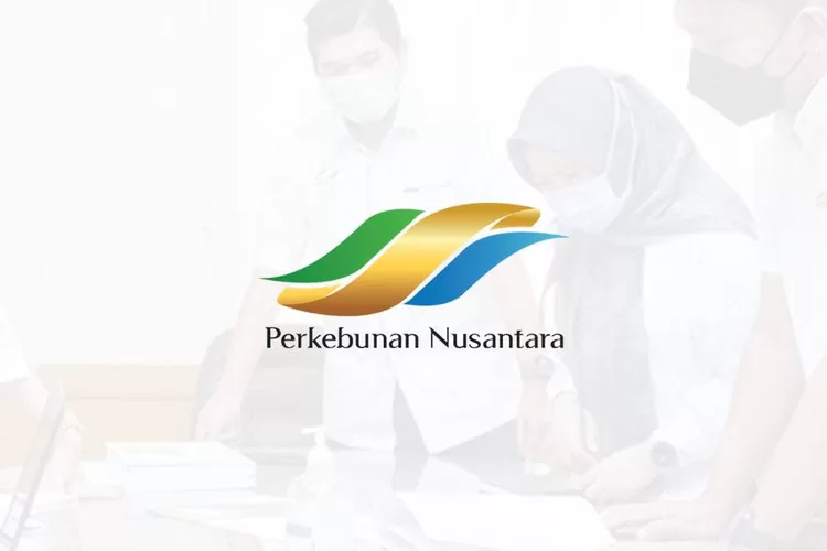 Lowongan Kerja BUMN Juni 2023 dari PT Perkebunan Nusantara IIIA (lokerbumn45)