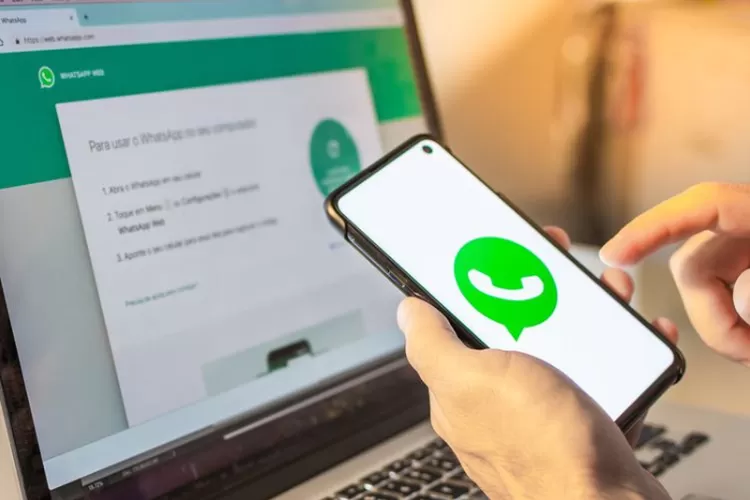 Cara Membuka WhatsApp Web di HP Android dan iPhone dengan Mudah dan Cepat ( Pixabay )