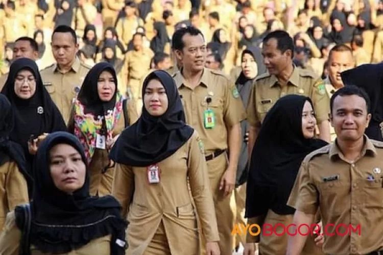 Syarat CPNS lulusan SMA 2023. (Ayobogor.com)