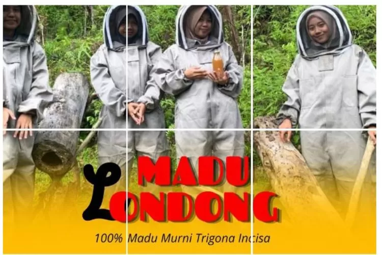 LPHD Limbong Dewata dan KPH Rongkong Produksi Madu Trigona Terbaik, Namanya Madu Londong (Dok. Istimewa)